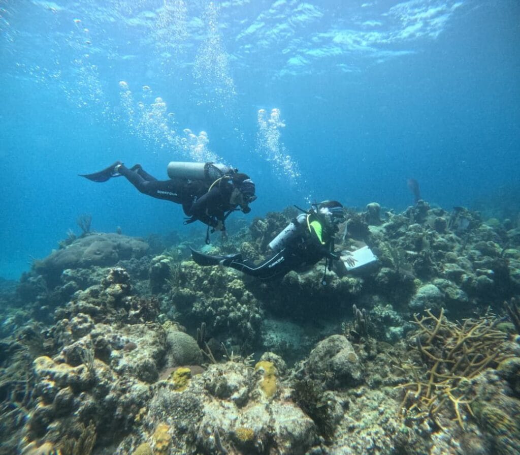 photo 2025 11 01 15 40 58