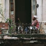 canibalismo social cubano