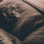 La importancia del sueño: dormir mejor para vivir mejor
