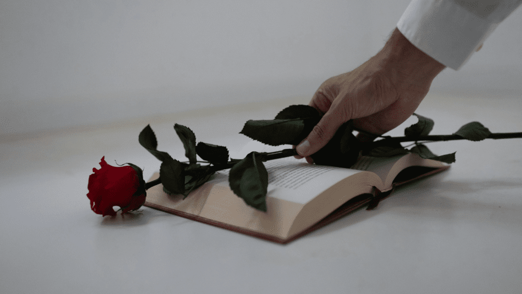 día mundial del libro y del derecho de autor