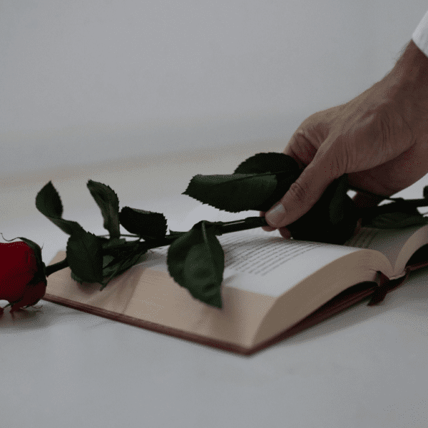 día mundial del libro y del derecho de autor