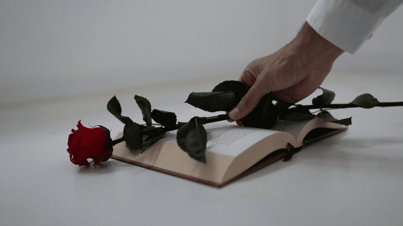 día mundial del libro y del derecho de autor