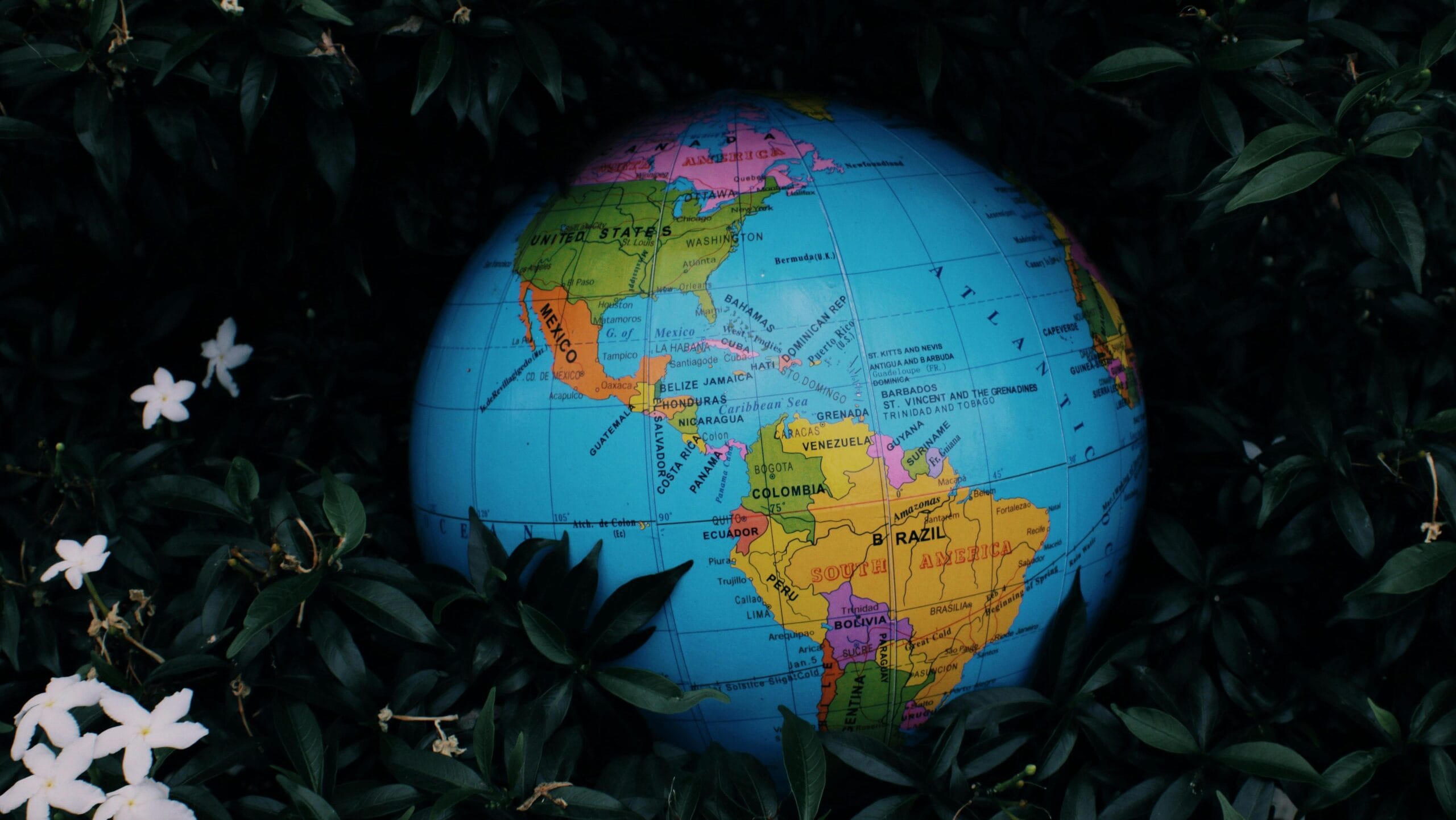 La política como cubano y latino: 3 puntos claves La política como cubano y latino