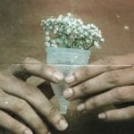 El matrimonio calma/digestiones: 5 claves que no sabías El intestino y la mente: 5 claves que no sabías