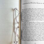 Género, subgénero y forma: explicación y evolución Género, subgénero y forma