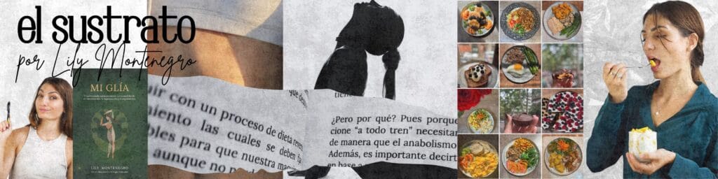 El Sustrato el sustrato