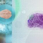 ¿Somos nuestro cerebro? ¿Somos nuestro cerebro?