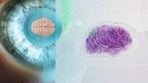 Inicio ¿Somos nuestro cerebro?