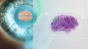 ¿Somos nuestro cerebro?