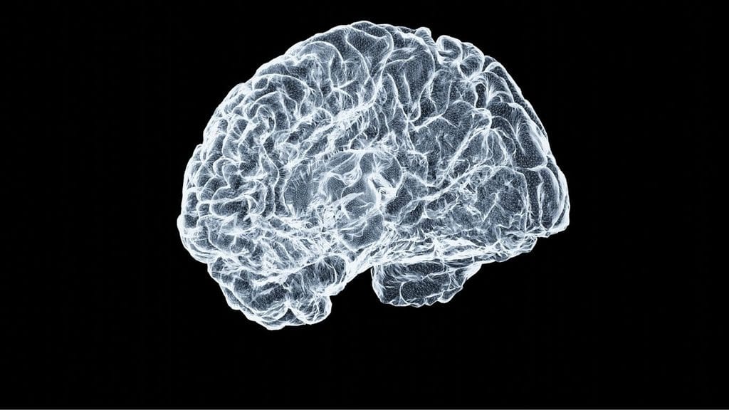 ¿Somos nuestro cerebro? ¿Somos nuestro cerebro?
