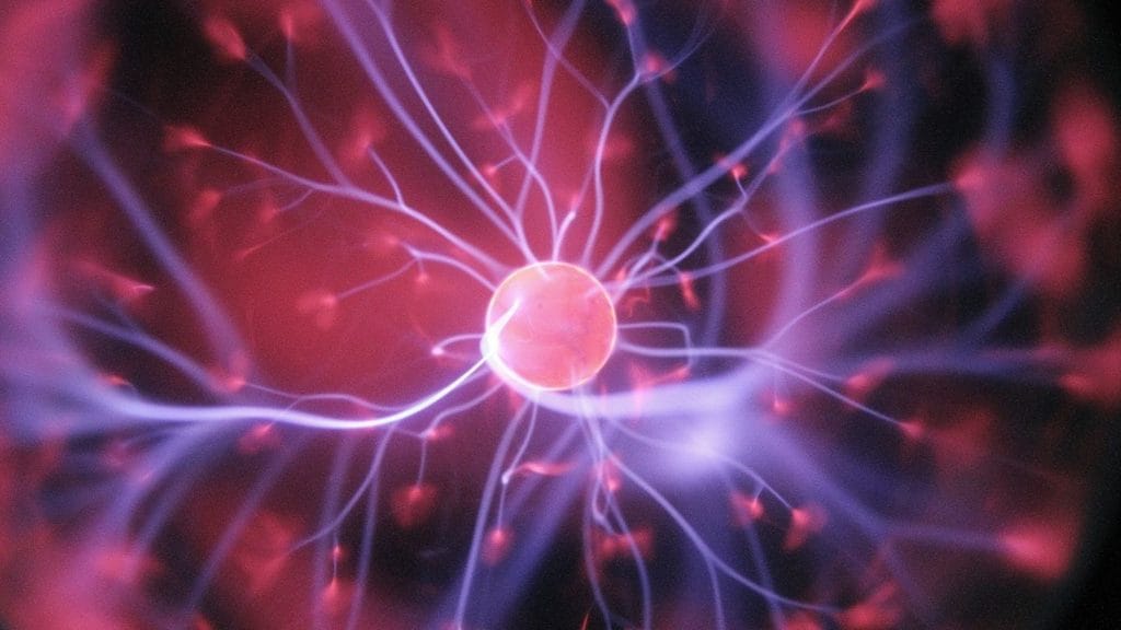 ¿Somos nuestro cerebro? El problema difícil de la conciencia