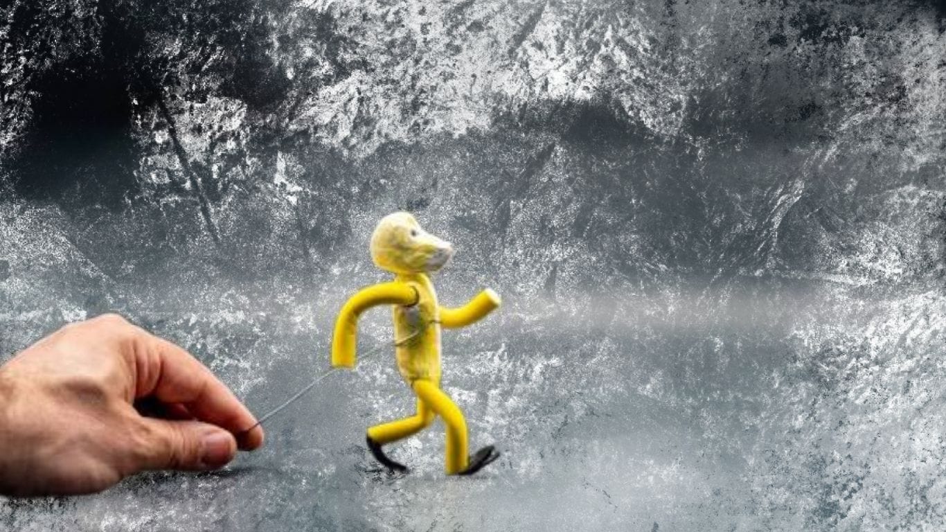 stop motion